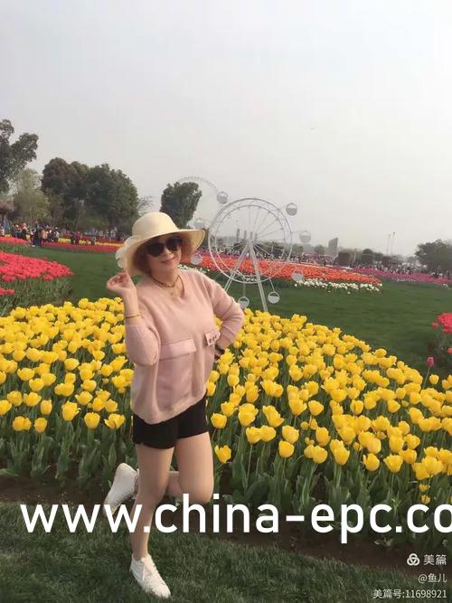 by1136现在改什么域名了_百度知道